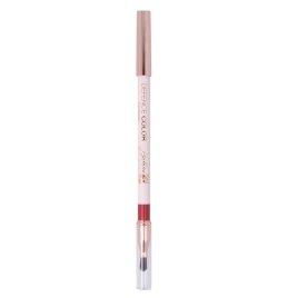DEFENCE COLOR LIP DES MAT 209