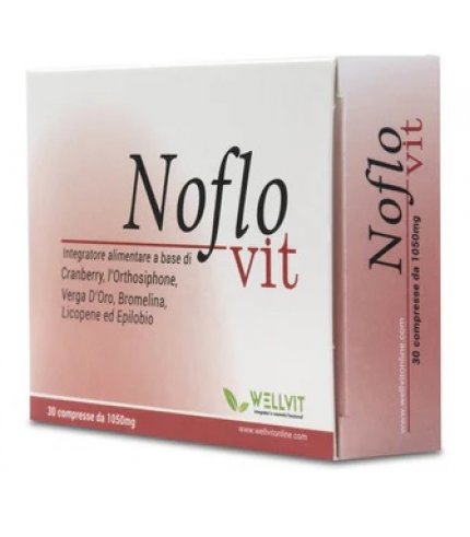 NOFLOVIT 30CPR