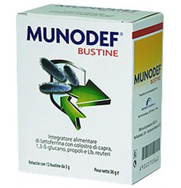 MUNODEF 12 BUSTINE