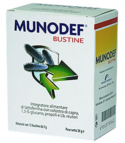 MUNODEF 12 BUSTINE