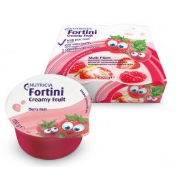 FORTINI CREAMY FRUIT FR RO 4PZ