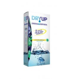 DRYUP MIRTILLO 300ML