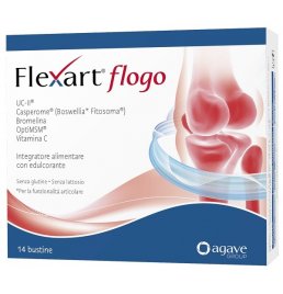 FLEXART FLOGO 14BUST NF