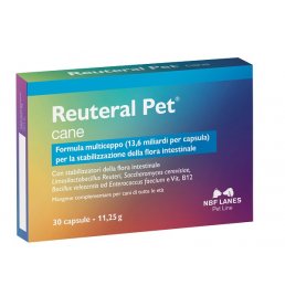 REUTERAL PET CANE 30CPS