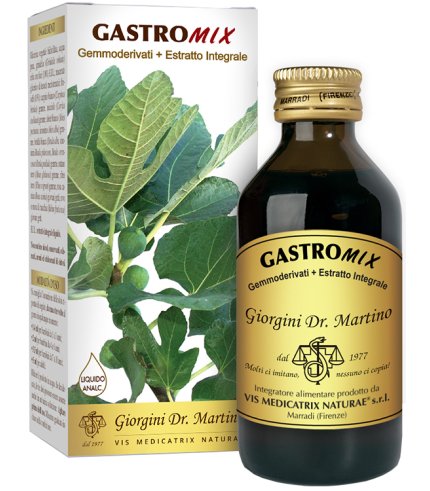 GASTROMIX LIQUIDO ANALC 100ML