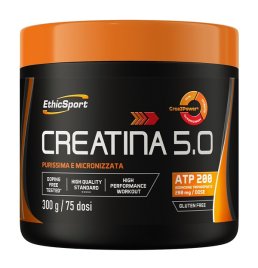 CREATINA 5.0 300G