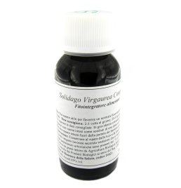 LVS 07N SOLIDAGO VIRGAURE COMP