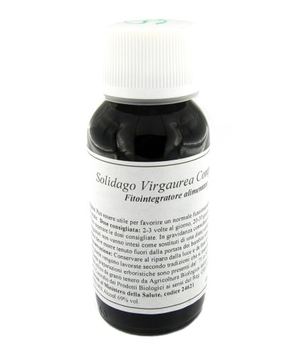 LVS 07N SOLIDAGO VIRGAURE COMP