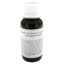 LVS 87C CYNARA SCOLY CAULI COM