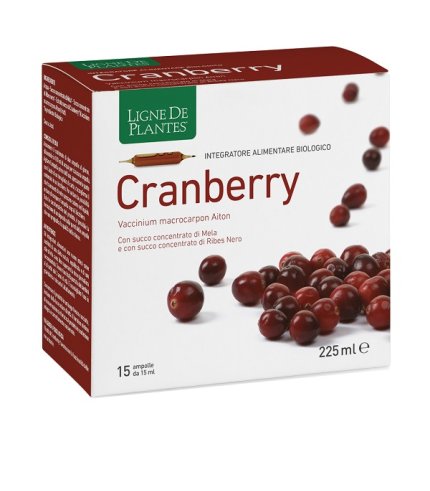 CRANBERRY 15AB 15ML