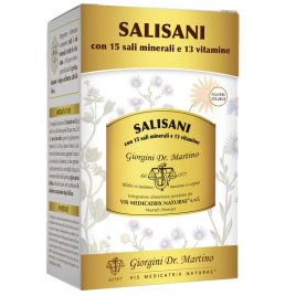 SALISANI POLVERE SOLUBILE 360G