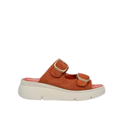 CALZATURA BALI BUCKLE SUEDE W BRICK 37