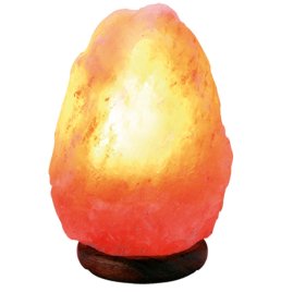 LAMPADA DI SALE 2/3KG