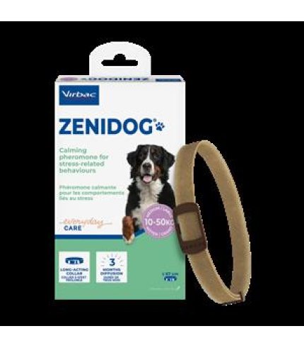 ZENIDOG COLLARE CANE ANTISTRES