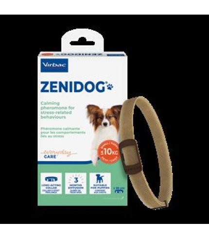 ZENIDOG COLLARE CANE ANTISTRES