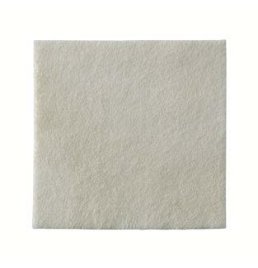 BIATAIN ALGINATE AG 10X10 10PZ