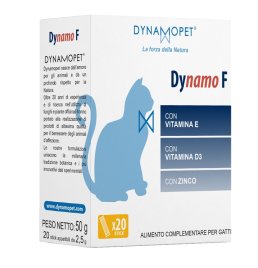 DYNAMO F 20STICK 2 5G DYNAMO F 20STICK 2 5G