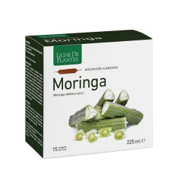 MORINGA 15AB 15ML MORINGA 15AB 15ML