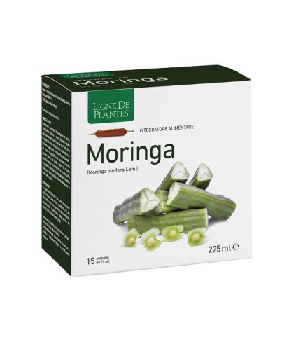 MORINGA 15AB 15ML