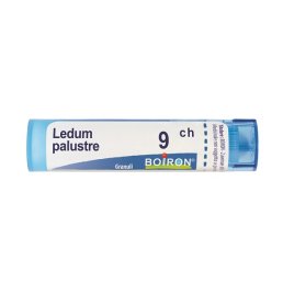 BO.LEDUM PALUSTRE 9CH TUBO