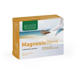MAGNESIO B6 + K 60CPS NATURA S