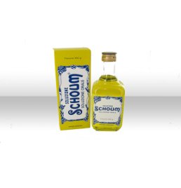 SOLUZIONE SCHOUM*orale soluz 550 g